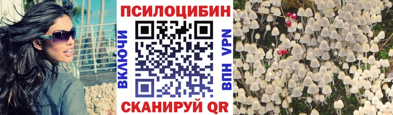 Псилоцибиновые грибы GOLDEN TEACHER  Кукмор 